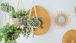 Decoração com plantas pendentes