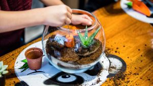 como fazer um mini terrário