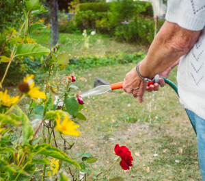 irrigação para pequenos jardins