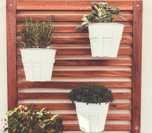 jardim vertical dentro de casa