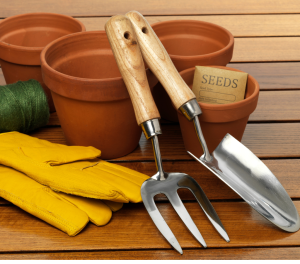 kit básico de jardinagem