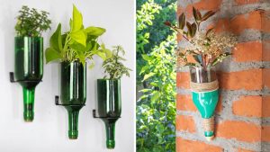 garrafas de vidro como vaso de plantas