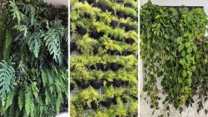 Este truque secreto faz seu jardim vertical crescer em 3 dias