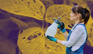 acabar com as Pragas em plantas métodos